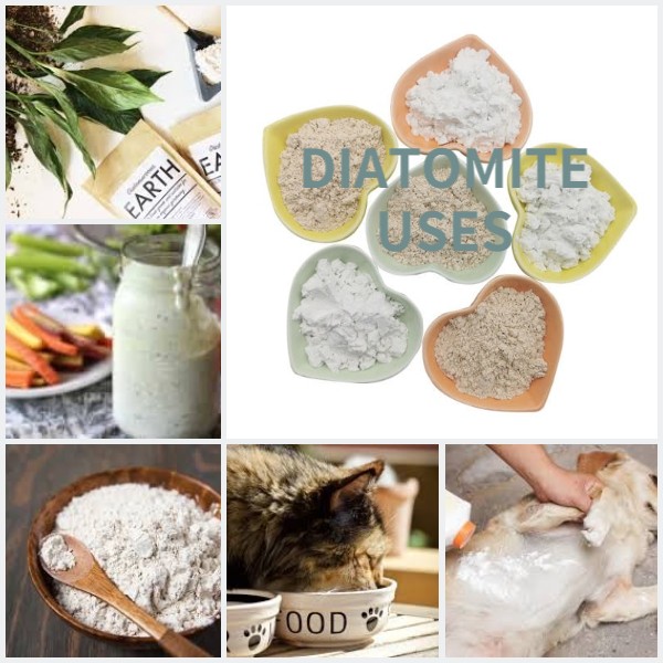 diatomite uses