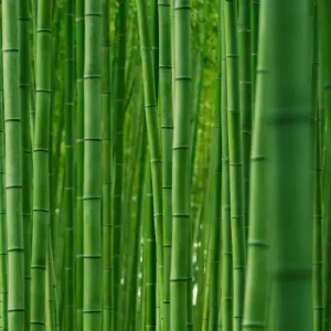 Bamboo Powder Making Machine