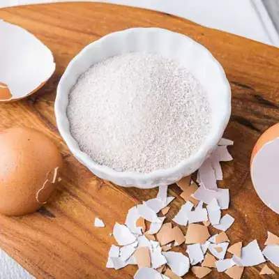 Eggshell Powder Making Machine