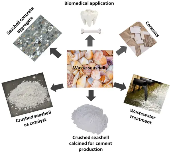 Seashell powder use and powder making equipment