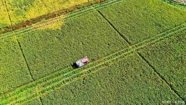 Conch Powder Making Machine-HGM Ultrafine Mill-SBM Ultrafine Powder Technology agriculture