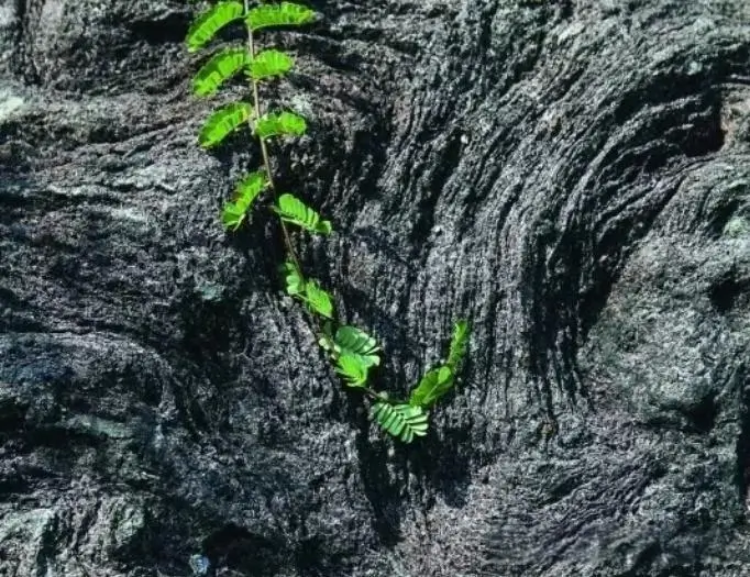 Igneous Rock Crushing And Grinding Equipment