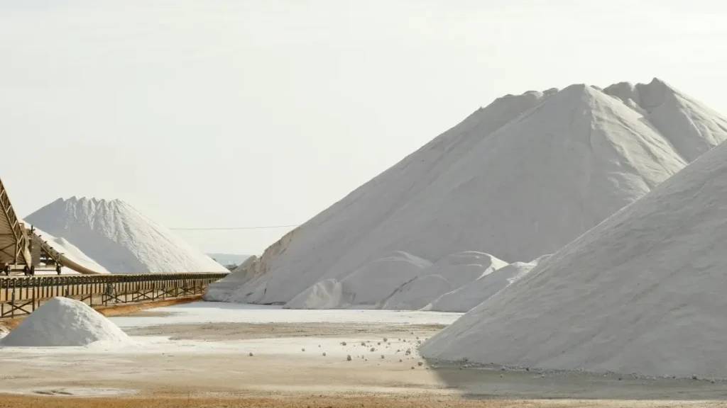 800 Mesh Dolomite Powder in India